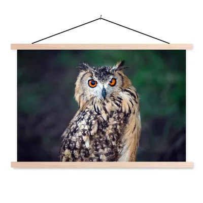 Produktbild von MuchoWow® Textilposter Eule 120x80 cm mit holzfarbenen Rahmen - Aufhängeset