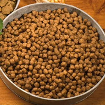 Produktbild von 12 kg - Schecker Trockenfutter für Welpen - viel gesundes Geflügelfleisch