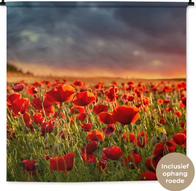 Produktbild von MuchoWow® Wandteppich Wandbehang Sonnenuntergang über einem Feld von Mohnblumen 150x150 cm Tapisserie Dekoration Wandtuch - Wohnaccessoires - Modernes