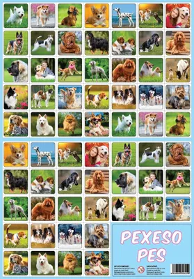 Immagine prodotto di Gioco di memoria Cane