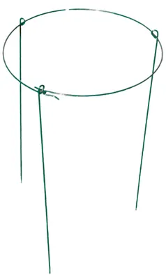 Image de Support de plantes en métal 60x35cm Support pour fleurs Support pour plantes vivaces Support pour rosiers Aide pour grimper