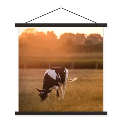 Produktbild von MuchoWow® Textilposter Kuh - Sonne - Tiere 60x60 cm mit schwarzem Rahmen - Posteraufhänger