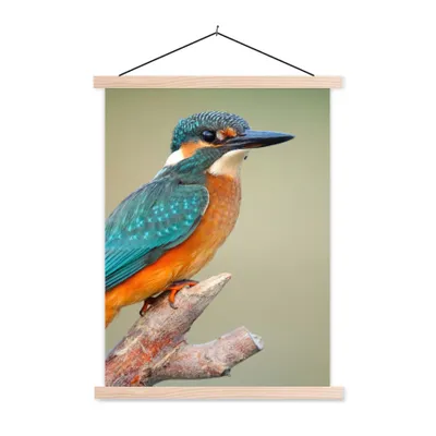 Produktbild von MuchoWow® Textilposter Vogel - Eisvogel - Zweig 60x80 cm mit holzfarbenen Rahmen - Wandbild
