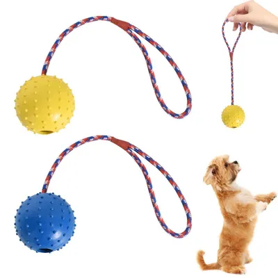 Produktbild von Naturgummiball mit Seil Hundespielzeug Gelb & Blau ø 6 X 30 cm