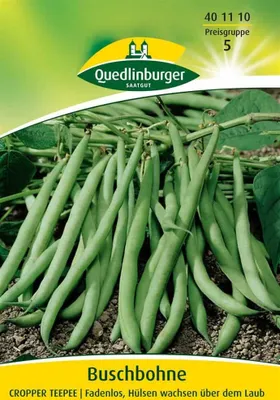 Produktbild von Quedlinburger Saatgut - Buschbohnen Cropper Teepee - Samen - 401110