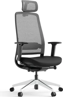 Produktbild von Yaasa Chair Expert Bürostuhl Ergonomisch mit Kopfstütze, Schwarz – Traglast 130 kg – 4D-Armlehnen – Regulierbare Gepolsterte Lordosenstütze