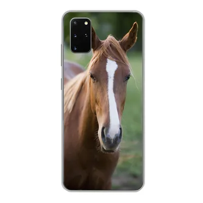 Produktbild von MuchoWow® Handyhülle Schutzhülle Hülle für Samsung Galaxy S20 Plus Pferd - Natur - Porträt Silikon Softcase Handy Hülle - Hartschale
