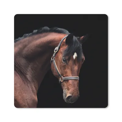 Produktbild von MuchoWow® Mauspad Mousepad Pferd - Halfter - Braun 20x20 cm - Mousepads - Maus Mat - Pad - Mausunterlage - Desk Mat - Bureauartikeln
