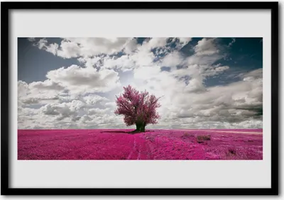 Produktbild von Bild 100x70 MDF-Rahmen Wandkunst Baum Feld Natur Pflanze