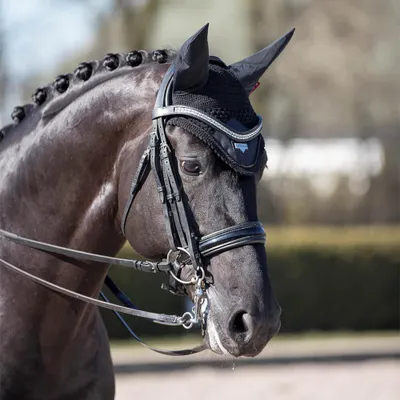 Produktbild von LeMieux Loire Fliegenhaube - Größe L - Fliegenohren - Black