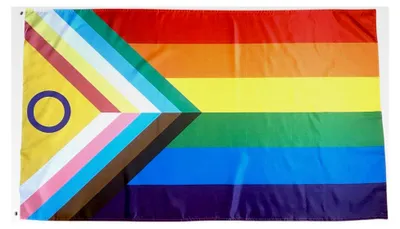 Produktbild von Inklusive Progress Pride Flagge, 90x150 cm, CSD, Queer, Regenbogen Design, Polyester