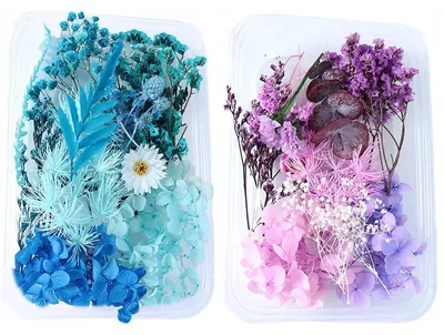 Getrocknete Blumen 2er-Pack, natürliche Blüten für Basteln & Dekoration