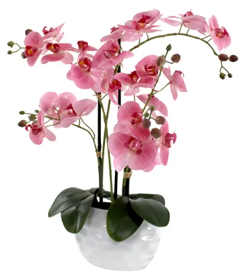 Produktbild von Kunst-Pflanze Orchidee ovaler Topf weiß hochglanz und rosa Blüten 58cm hoch