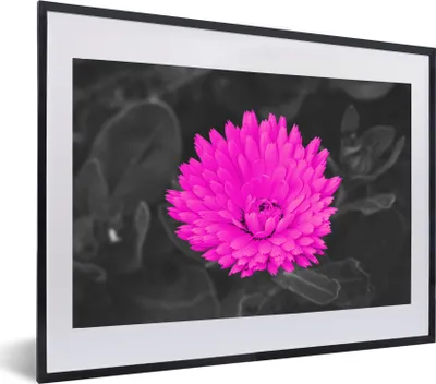 Produktbild von MuchoWow® MuchoWow® Gerahmtes Poster Blumen - Aquarell - Rosa 60x40 cm - Poster mit zchwarzem Bilderrahmen - Schlafzimmer - Plakat in Rahmen - Drucken