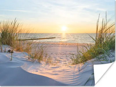 Produktbild von MuchoWow® Poster Strand - Sonne - Düne - Gras - Sand - Horizont 160x120 cm - Foto Plakat