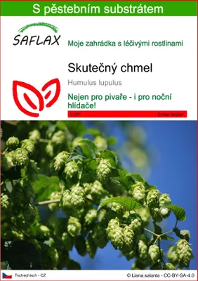 Obrázek produktu pro SAFLAX - skutečný chmel - Humulus lupulus - 50 Semena - S pěstebním substrátem bez klíčků