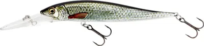 Produktbild von Westin Jerkbite MR Jerkbait Suspending 9cm 9g - Wobbler, Farbe:Real Roach
