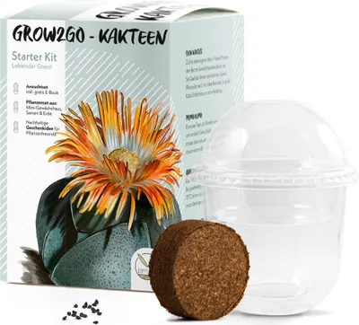 Produktbild von GROW2GO Kakteen Starter Kit Anzuchtset - Pflanzset aus Mini-Gewächshaus, Kaktus Samen & Erde (Lebender Granit)