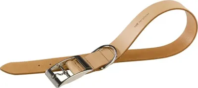 Image de Collier En Cuir Naturel Ferplast C 25 45 Beige