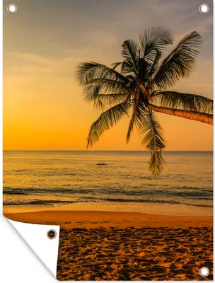 Produktbild von MuchoWow® 90x120 cm Outdoor-Poster Gartendeko Sichtschutz Garten Poster für den Garten  Palme - Strand - Sonnenuntergang - Meer