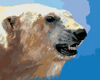 Produktbild von Zuty - Malen nach Zahlen - EISBÄR PORTRÄT (D. RUSTY RUST), 40x50 cm, mit Keilrahmen (bereits gespannt)