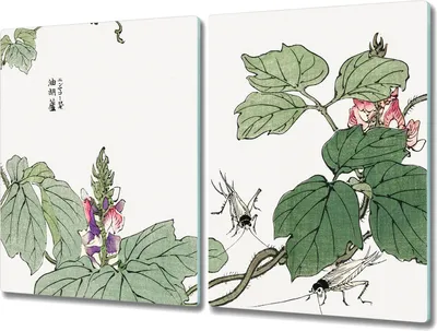 Produktbild von Coloray Kochplattenabdeckung Herdabdeckplatte 2x40x52 cm Hackbrett Schneidebrett Küchenbrett - Asiatische Insekten Liste