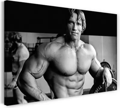 Produktbild von Leinwandbild (100x70cm): Arnold Schwarzenegger, echter Holz-Keilrahmen inkl. Aufhänger, handgefertigt in Deutschland