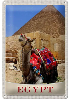 Produktbild von Blechschild Reise 20x30cm Ägypten Afrika Kamel Wüste Urlaub