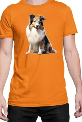 Immagine prodotto di Maglietta da uomo Dogs Breeds Dachshund Dog Breed 007, Man S , Orange