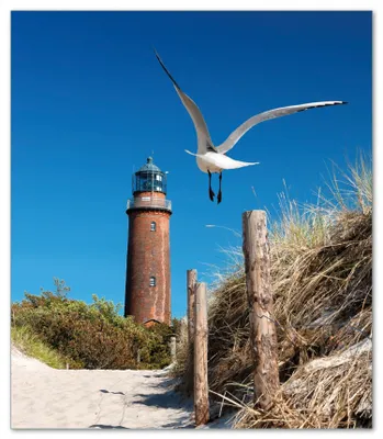 Produktbild von Wallario Herdabdeckplatte aus Glas, Größe 52 x 60 cm 1-teilig, Motiv Möwe am Strand mit Leuchtturm