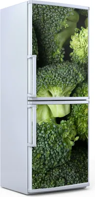 Produktbild von Kühlschrankdekoration  60x180 cm  Aufkleber auf dem Kühlschrank - grüner frischer Brokkoli