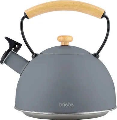 A gray kettle with a wooden handle and lid knob, set against a white background.