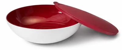 Produktbild von TUPPERWARE Allegra 1,5 L rot weiß Schüssel Schale