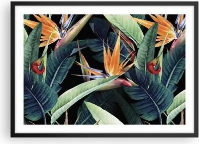 Produktbild von Gerahmtes Poster - Schwarzer Rahmen - Pflanze Tropisch Blume - 70x50 cm - Wand Bild - Wanddeko - Wandbilder - Kunstposter - Wandposter - Bilderrahmen - Bilder - Kunstdruck - P2BAA70x50-5093