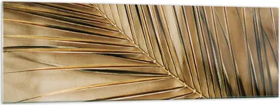 Produktbild von Bilder auf glas - Einteilig - Blatt Gold Pflanze - 160x50cm - Glasbilder - Wandbilder - Bilder - zum Aufhängen bereit - Wanddekoration aus Glas - Glas Bilder - Wandbild auf Glas - GAB160x50-5041