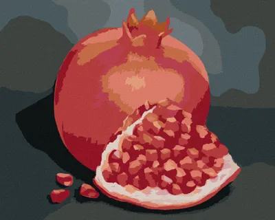 Produktbild von Zuty - Malen nach Zahlen - GRANATAPFEL 2 (MYROSLAVA VOLOSCHUK), 40x50 cm, mit Keilrahmen (bereits gespannt)