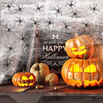 Halloween-Spinnennetz-Deko 100 g + 35 Spinnen