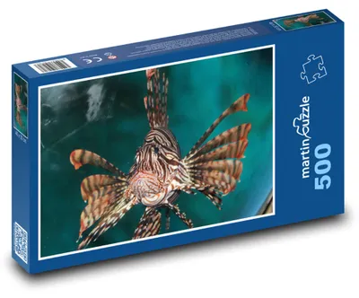 Obrázok produktu pre Puzzle 500 Perutýn - morská ryba - martinpuzzle