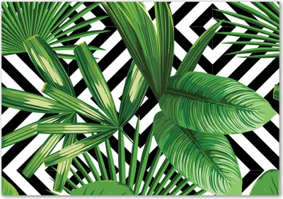 Produktbild von Tulup® Leinwandbild - 100x70 cm - Wandkunst - Drucke auf Leinwand - Leinwanddruck  - Blumen & Pflanzen - Grün - Tropische Blätter