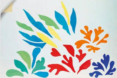 Produktbild von ARTland Wandbild, selbstklebend Acanthes Nr.30. Größe: 30x20 cm