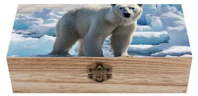 Imagen del producto de Caja de madera con tapa articulada para joyería y proyectos creativos