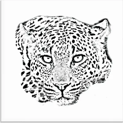 Produktbild von ARTland Glasbild Leopardenkopf in Schwarz / Weiss Größe: 30x30 cm