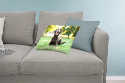 Produktbild von MuchoWow® Zierkissen Sofakissen Wohnzimmer Dekokissen 60x40 cm Ein Labrador Retriever liegt im Gras - Kopfkissen - Polster mit Foto