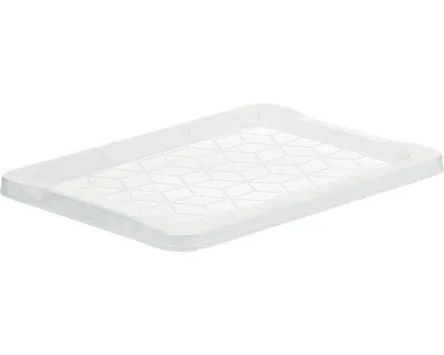 Produktbild von Deckel für Box Evo Easy 4 l transparent 27,5x17,5x1,6 cm