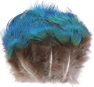 Immagine prodotto di Piume di pavone vere, 5-8cm blu verde, materiale per gioielli fai da te, per abbigliamento e artigianato