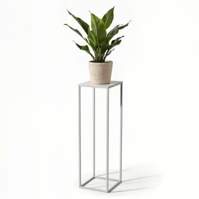 A potted plant on a metal stand against a white background.