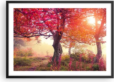 Produktbild von Gerahmtes Poster - Schwarzer Rahmen - Baum Natur Wiese - 70x50 cm - Wand Bild - Wanddeko - Wandbilder - Kunstposter - Wandposter - Bilderrahmen - Bilder - Kunstdruck - Wandbild - P2BAA70x50-3658