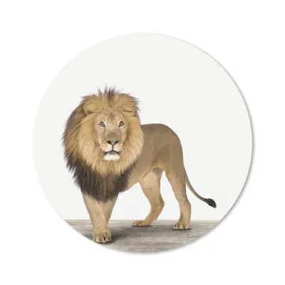 Produktbild von MuchoWow® Mauspad Mousepad Jungen - Löwe - Tiere - Kinder - Mädchen 50x50 cm - Mousepads - Maus Mat - Pad - Mausunterlage - Vinyl