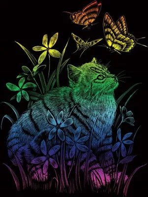 Produktbild von Regenbogen Kratzbild Katze mit Schmetterlingen