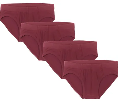 Produktbild von Bio-Baumwoll-Jungenslip-4er Pack
